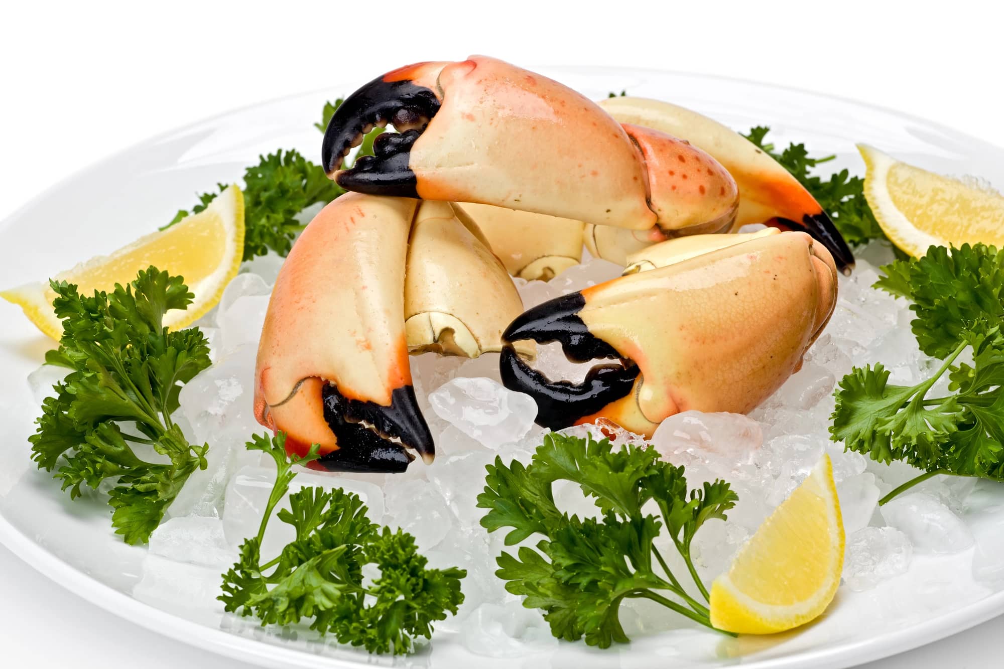 stone crab claws
