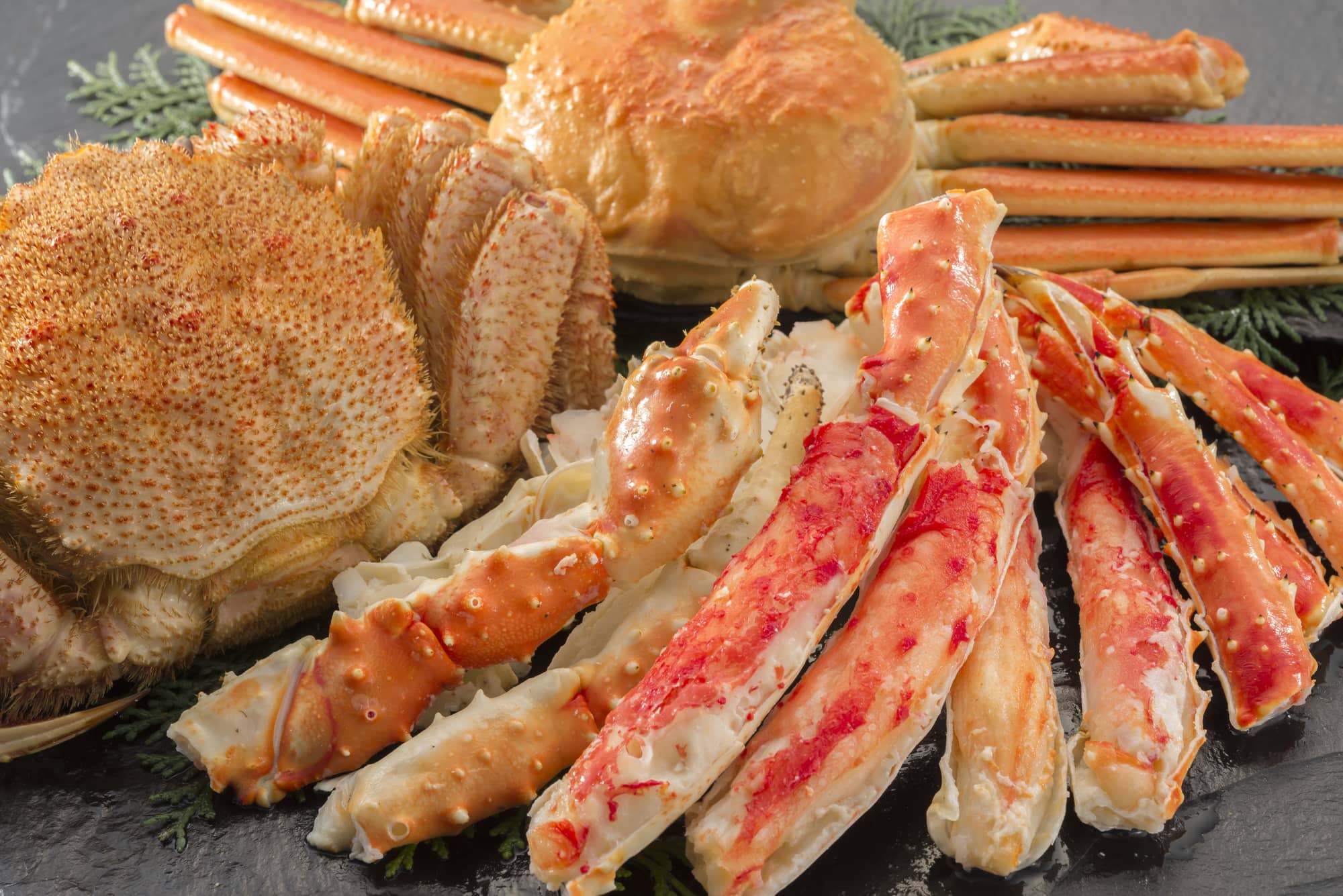 bairdi and snow crab