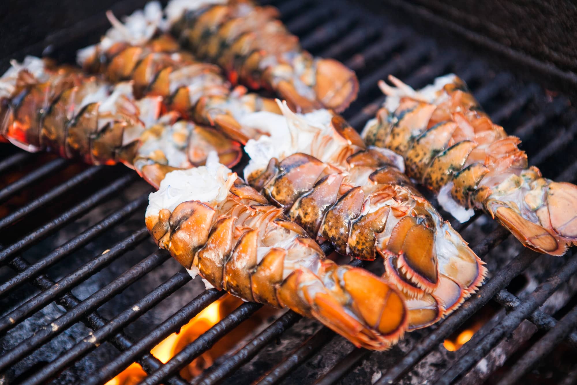 grilling lobster tails