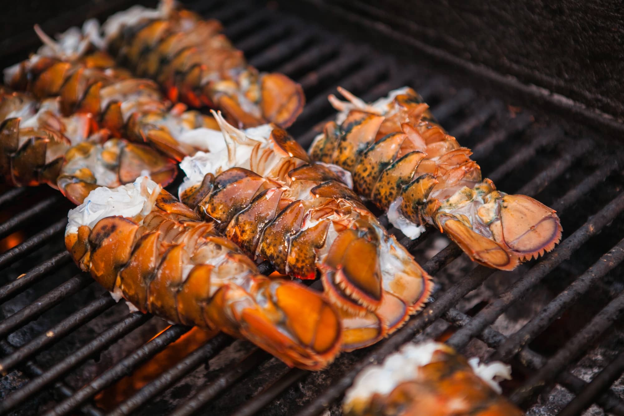 grilled lobster tails