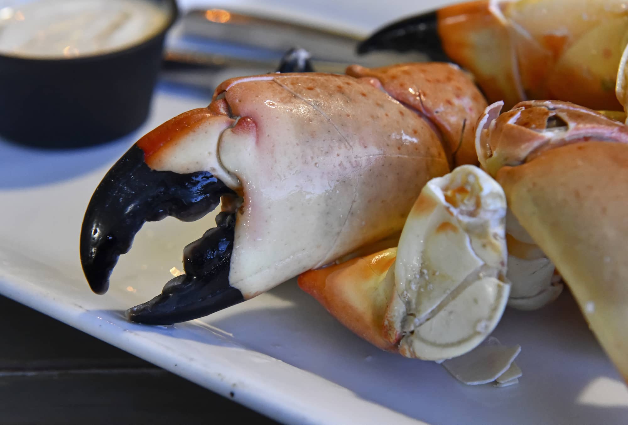 stone crab claws