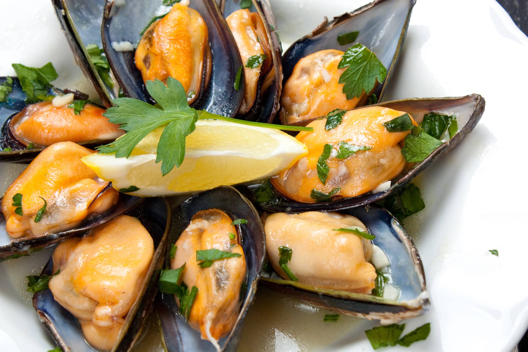 mussels with white wine sauce