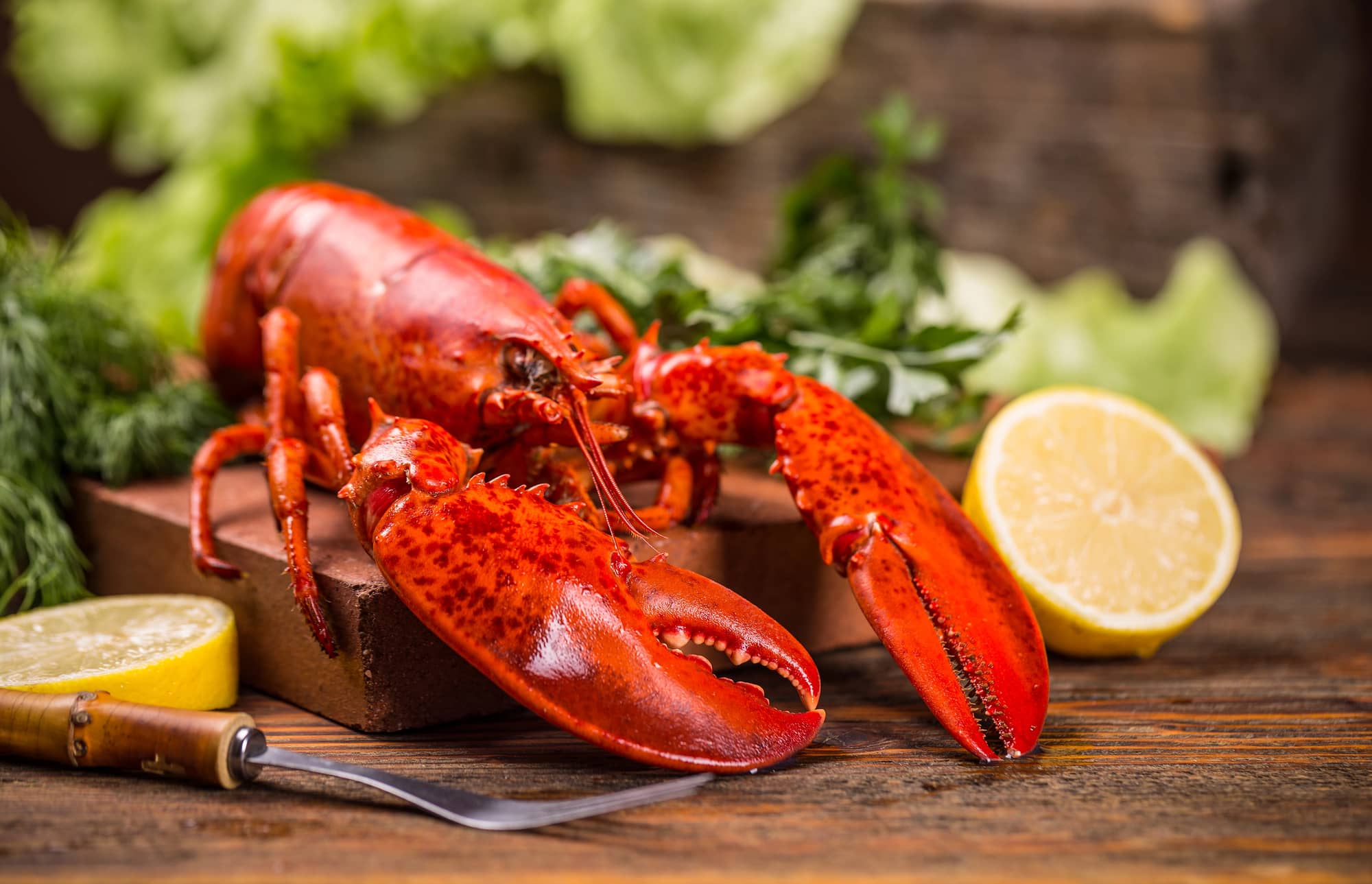 cooking lobster with dry heat