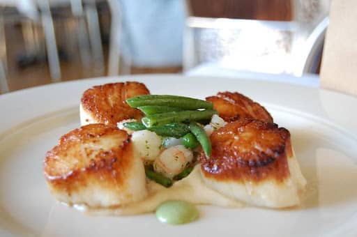 How to Cook Scallops