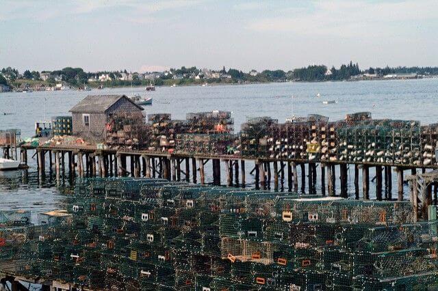 Why Is Lobster So Expensive? Demystifying the Mystery of the Luxury Crustacean