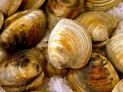 3 Ways to Cook Clams