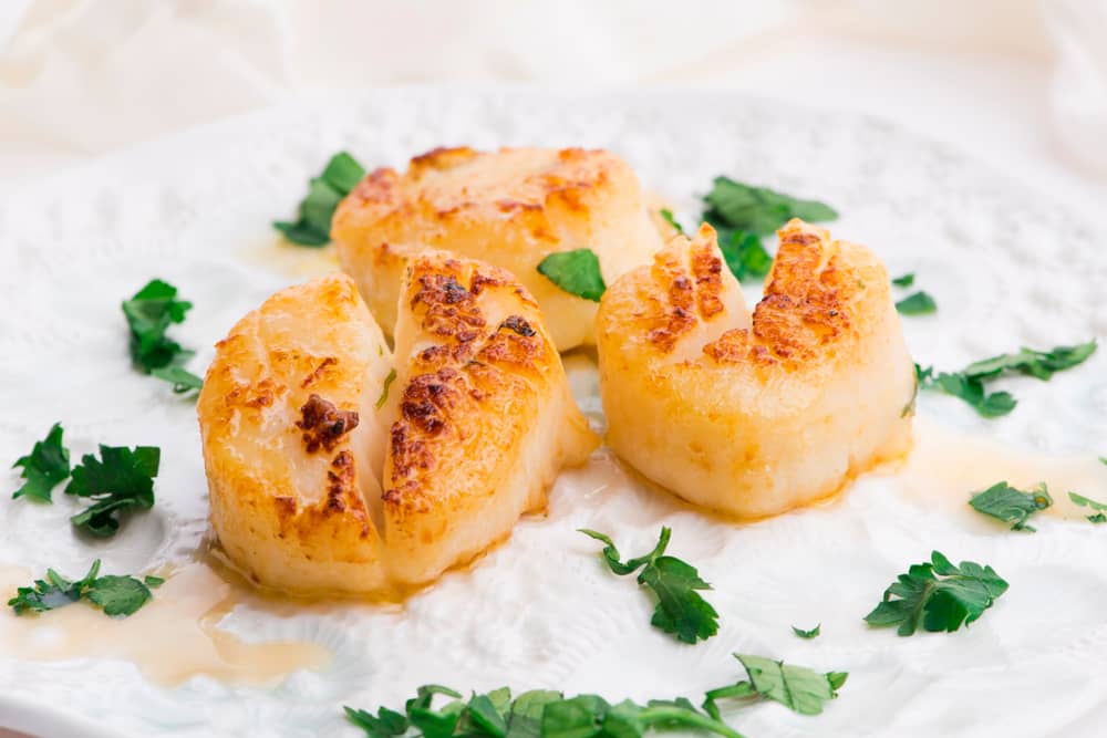 cooked scallops