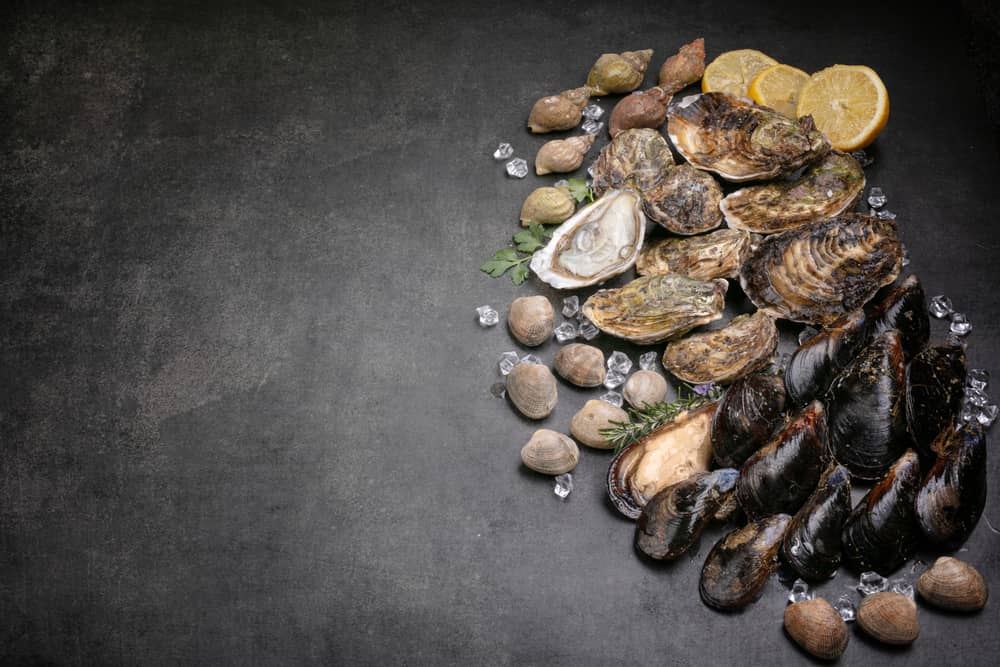 oysters and clams