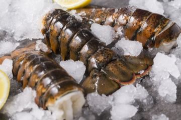 Certified Maine Lobster Tails