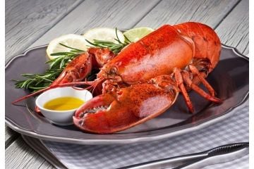 2 lb Live Maine Lobster