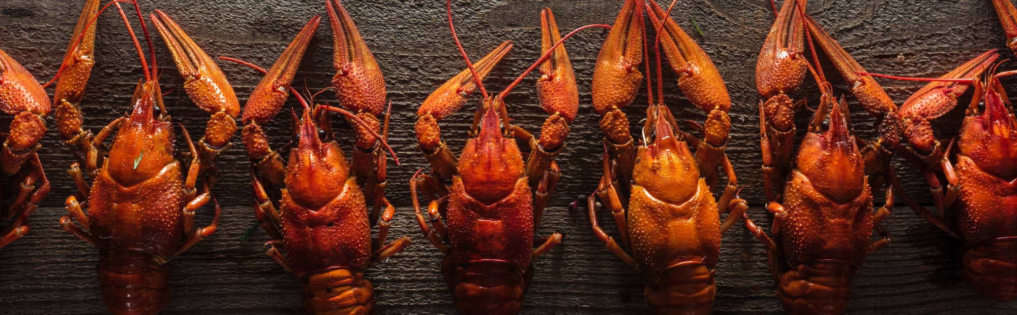 hard and soft shell lobsters