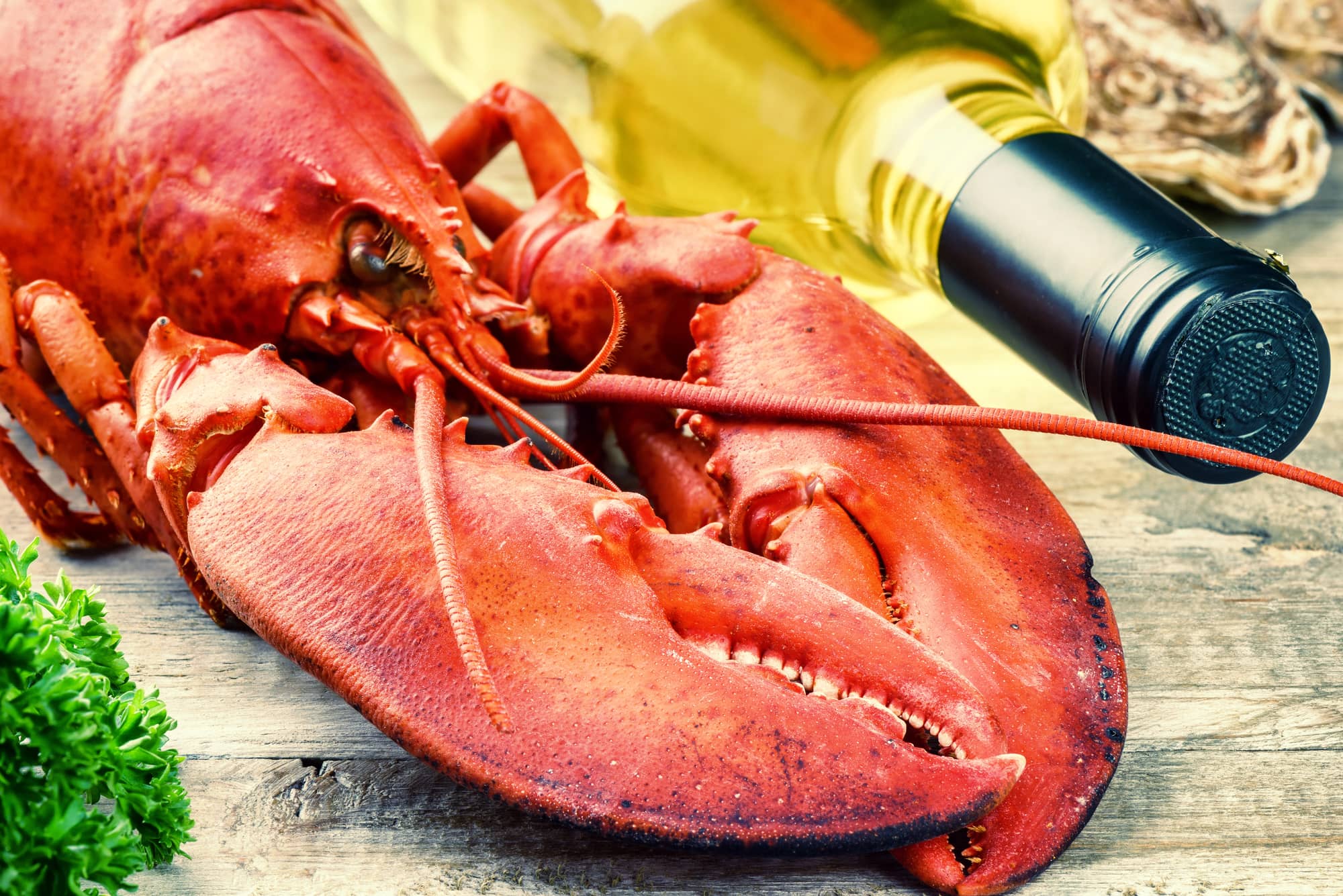 lobster with wine