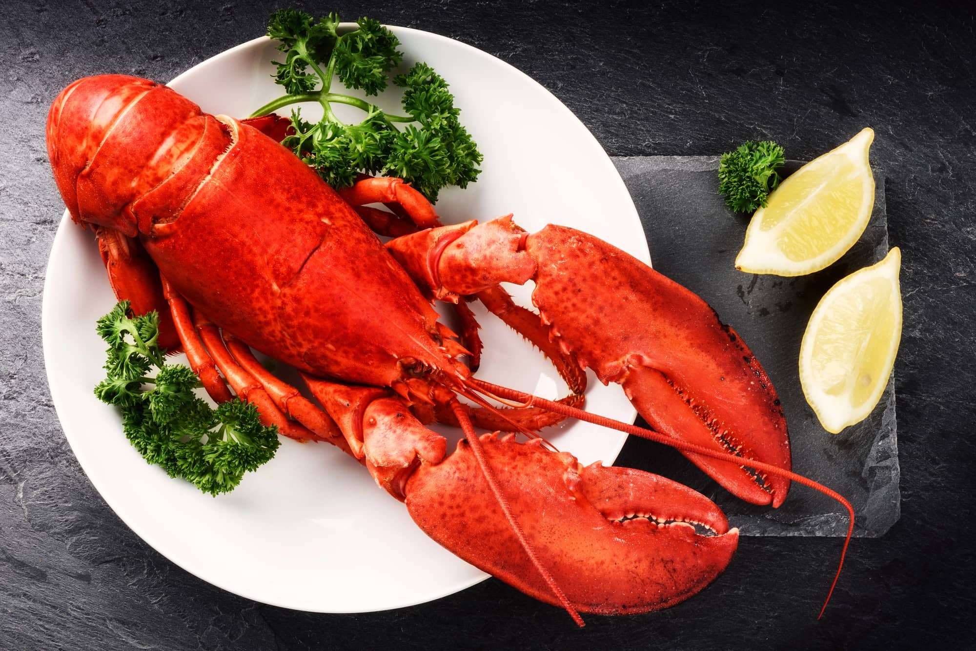 lobster ready to eat