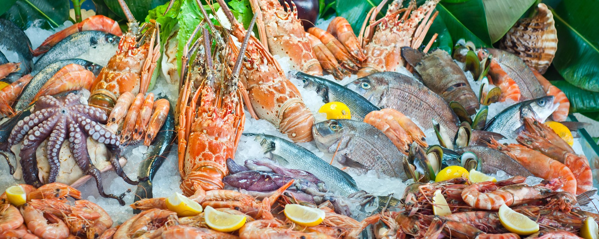 fresh seafood arrangement