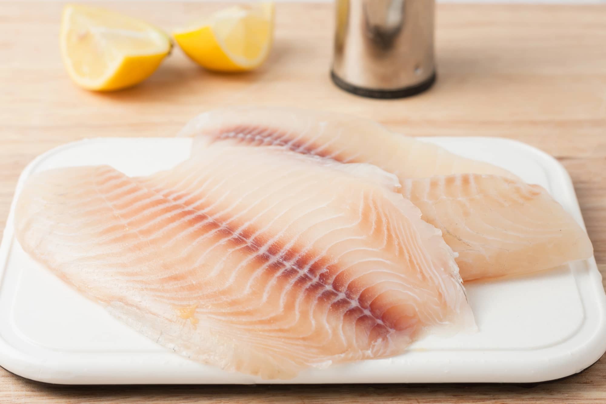 tilapia