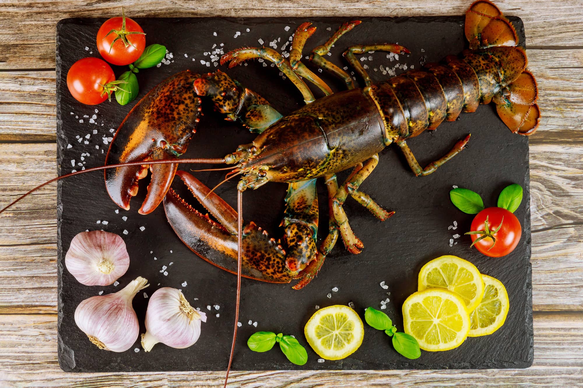 cooking a live lobster