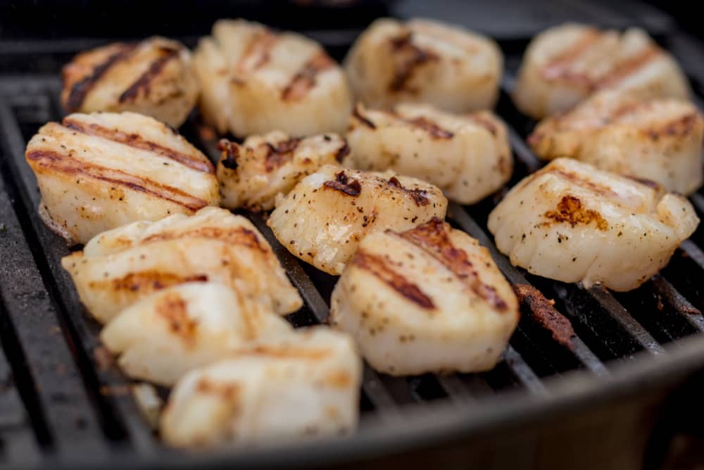 Grilled scallops