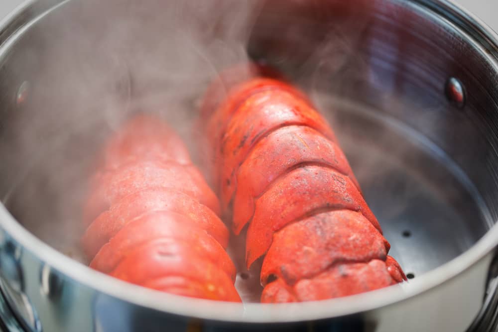 steaming lobster