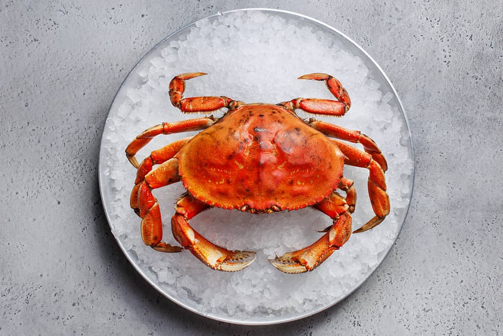 crab