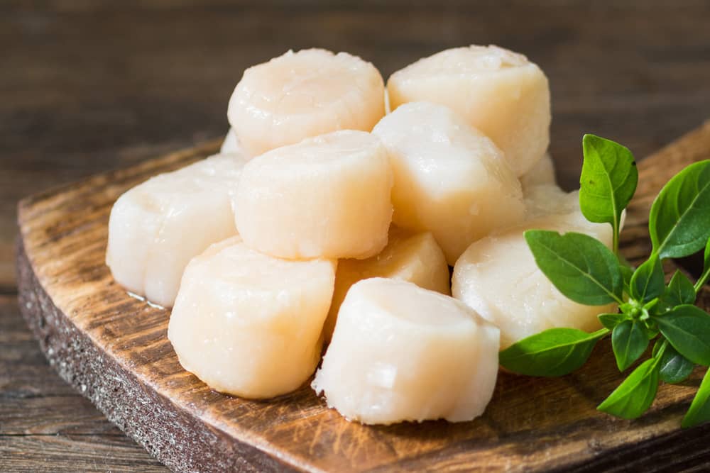 scallops soaked in milk