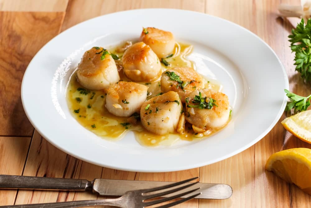garlic butter scallops