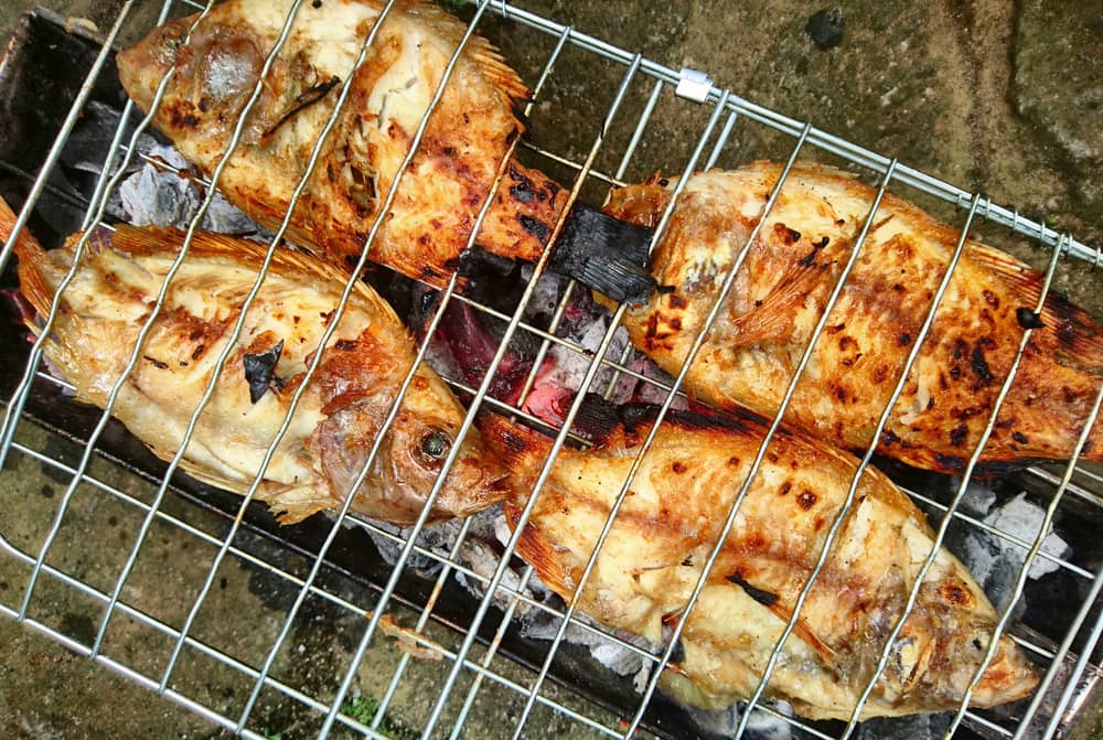 grilled tilapia