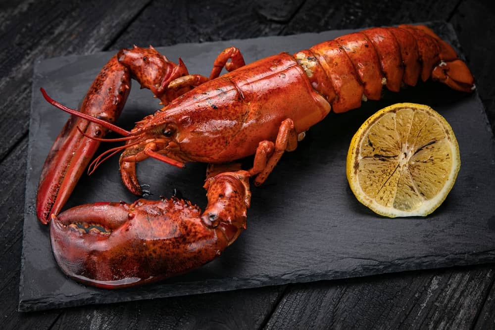 lobster
