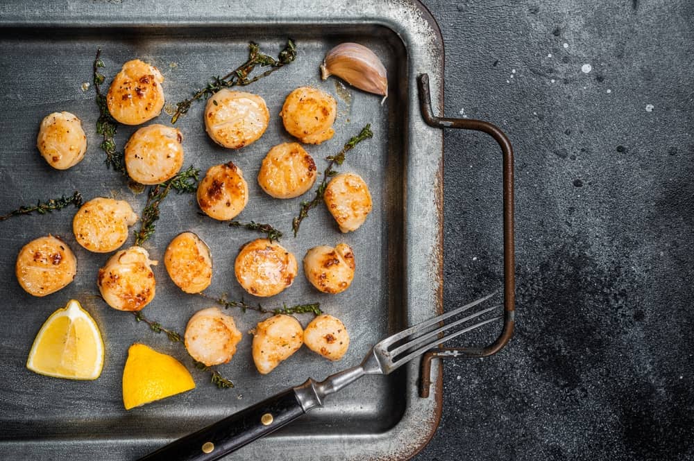 baked scallops