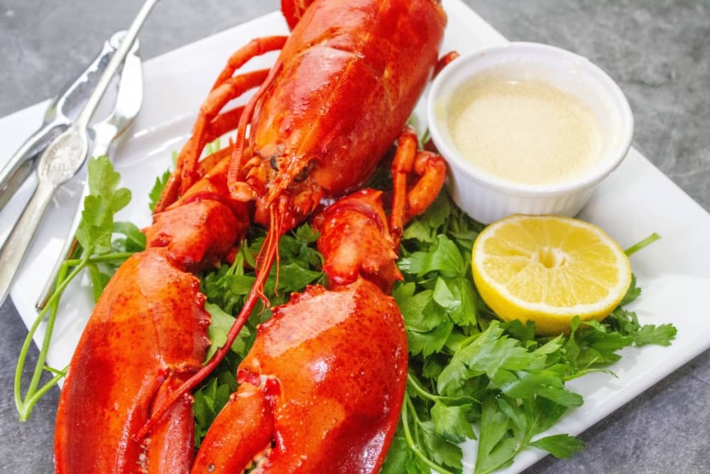 lobster with garlic butter sauce