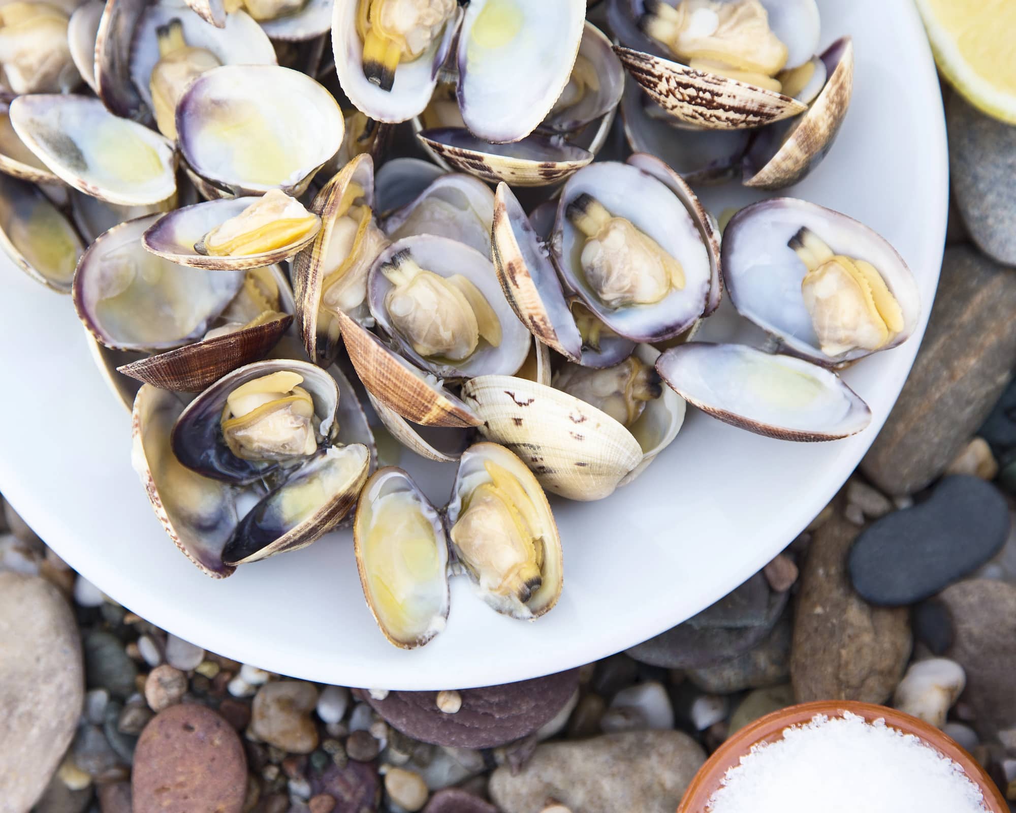 clams