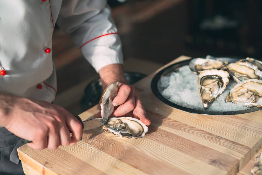 shucking oysters