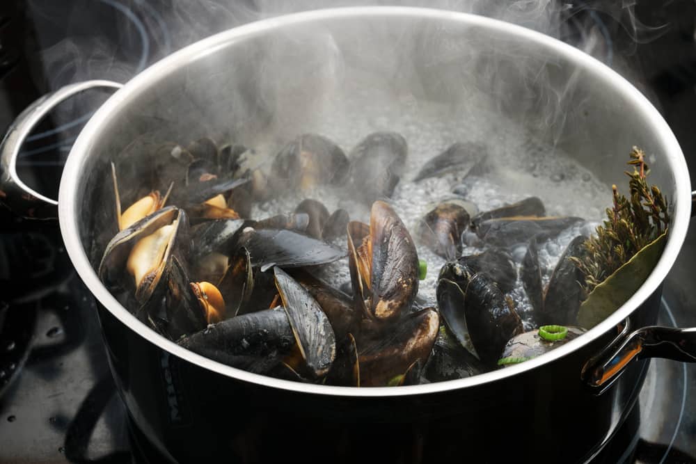 boiling mussels