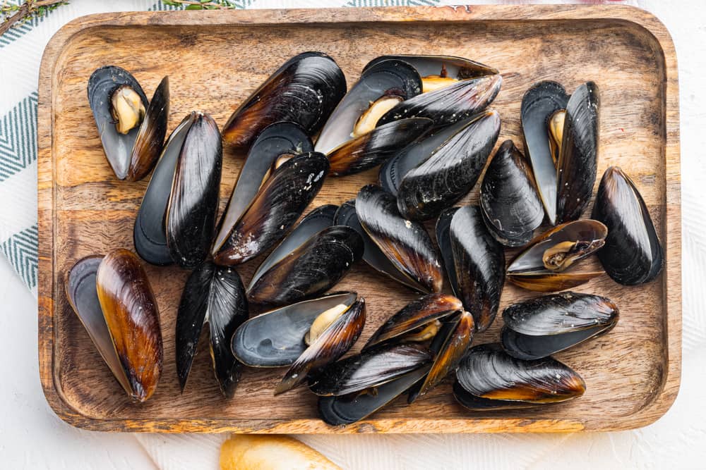 cooked mussels